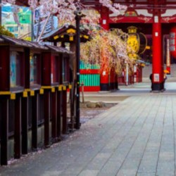 Beautiful Temple in Japan