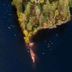 The tip of an island in the park