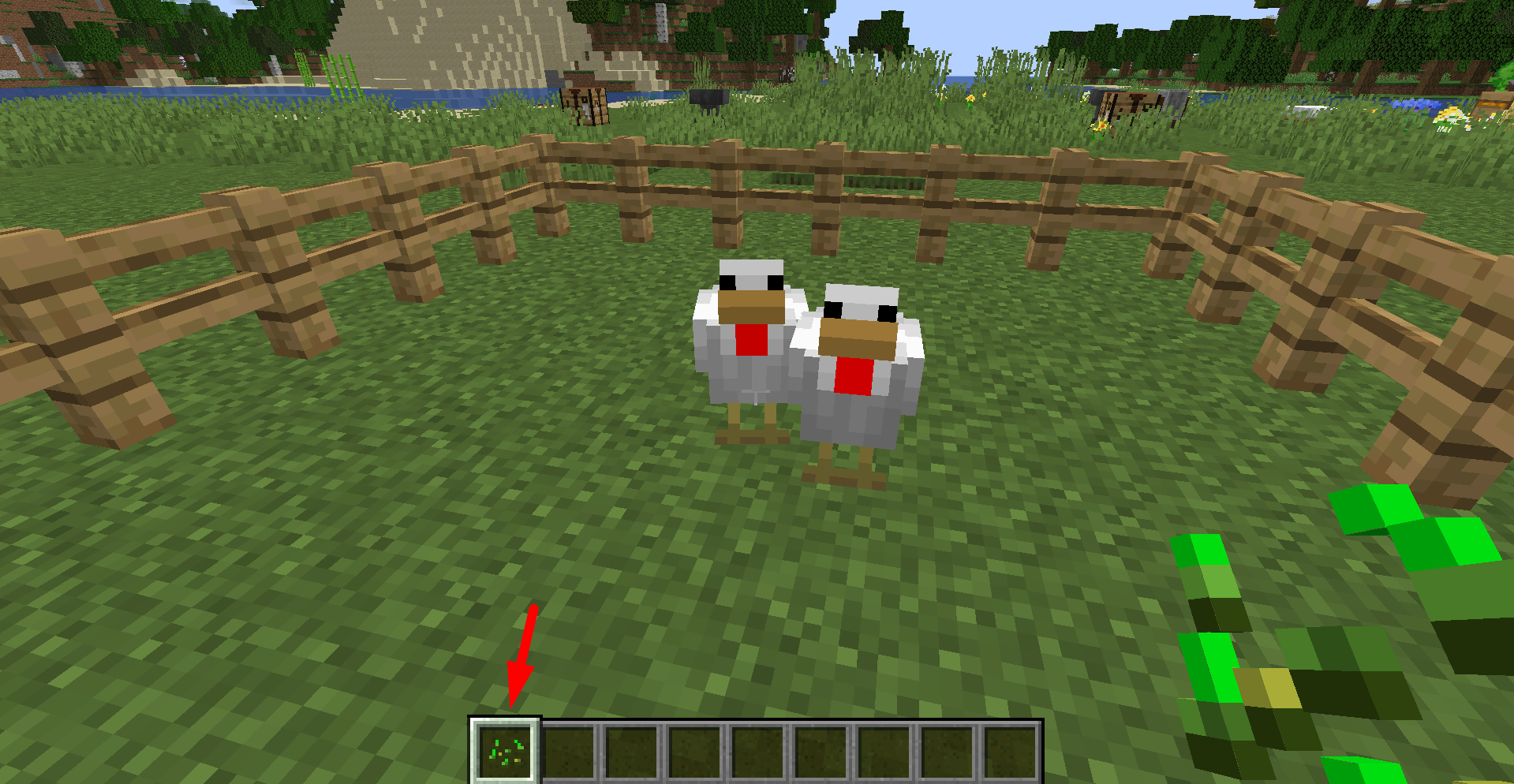 A minecraft chicken