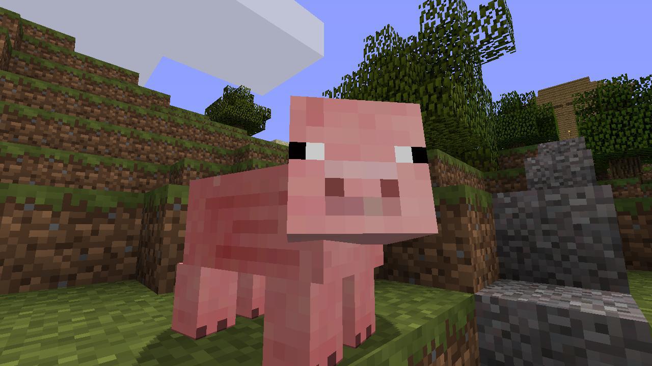 A Pig from Minecraft